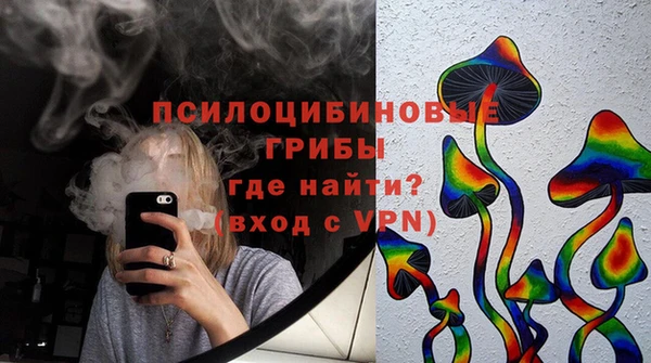 твердый Михайловка
