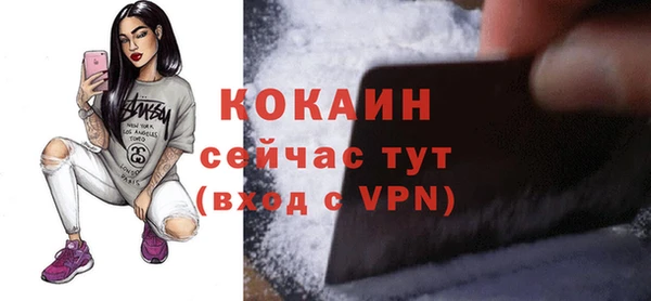 apvp Михайлов