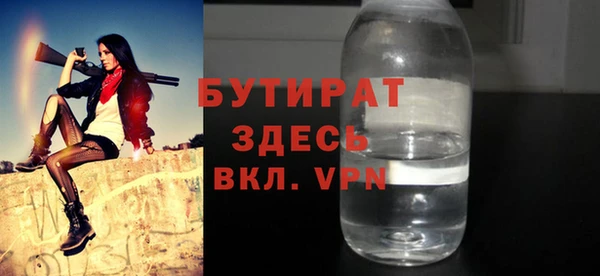 индика Михайловск