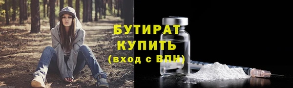 индика Михайловск