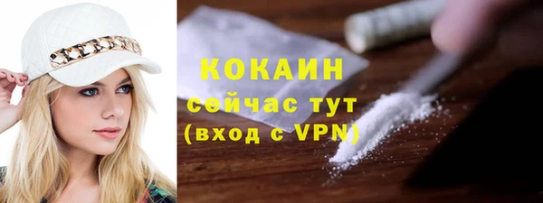 индика Михайловск