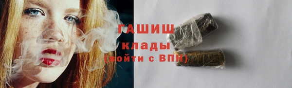 индика Михайловск