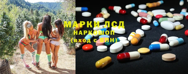 индика Михайловск