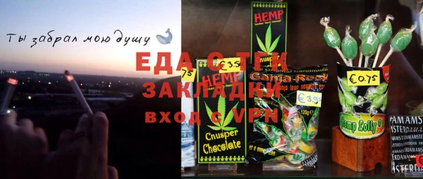 индика Михайловск