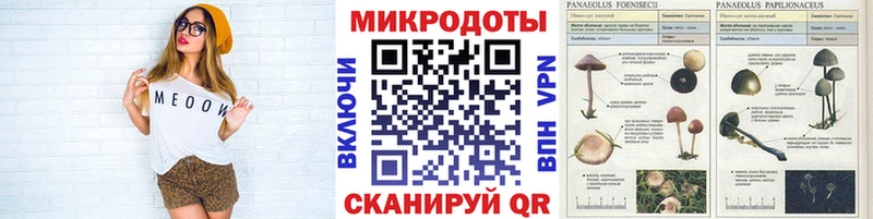 это официальный сайт  магазин продажи наркотиков  Сосновка  Псилоцибиновые грибы мицелий  hydra  